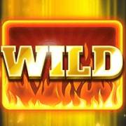 Road 2 Riches: Wild