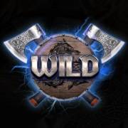 Story Of Vikings: Wild