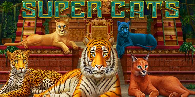 Видео покер Super Cats демо-игра