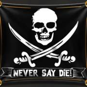 The Goonies: Hey You Guys!: Флаг