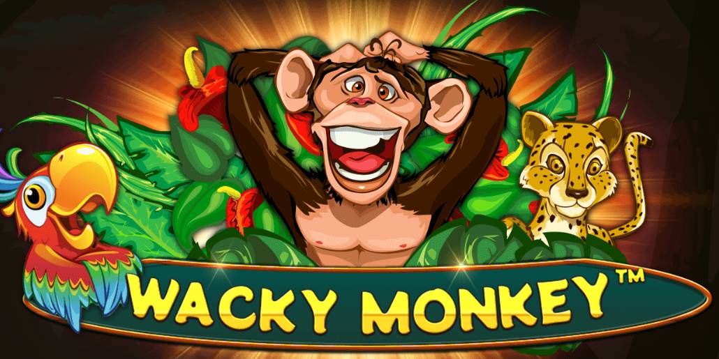 Wacky Monkey