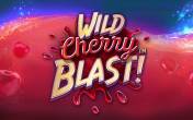 Wild Cherry Blast (демо-версия)
