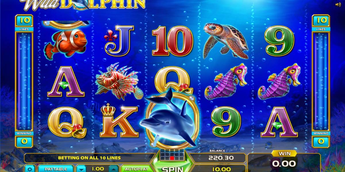 Wild Dolphin