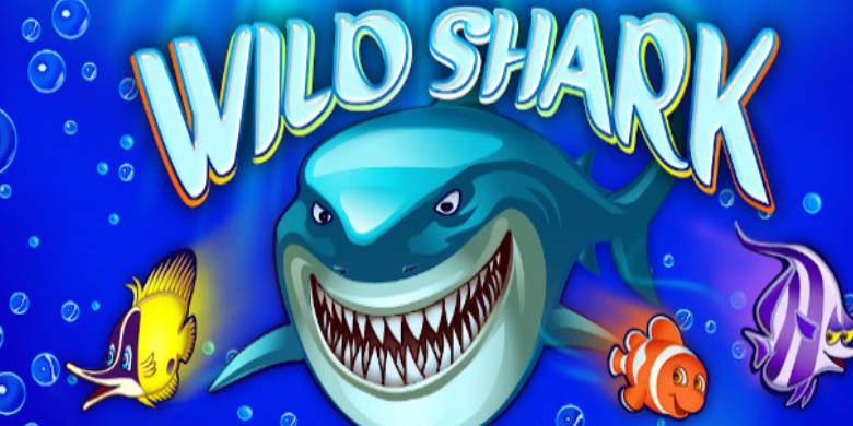 Wild Shark