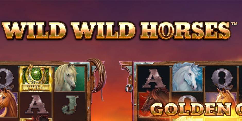 Wild Wild Horses