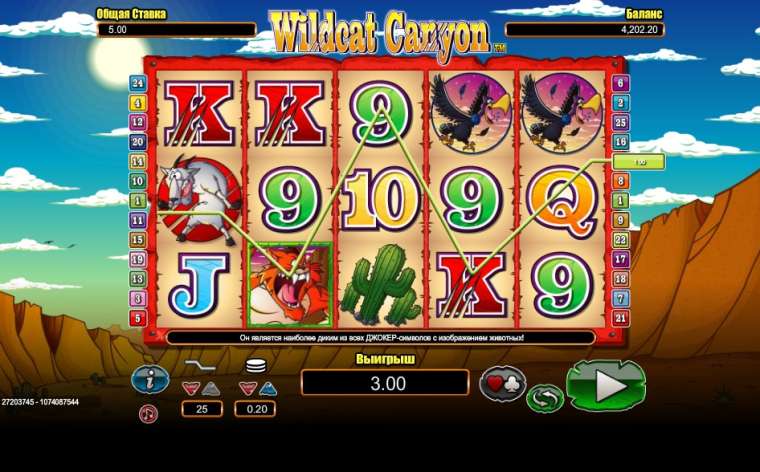 Видео покер Wildcat Canyon демо-игра