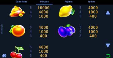 Winnergie: Таблица выплат