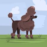 Maxim_Mansurov
